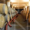Barrels-at-boutari-winery