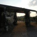 Corfou ampelones winery
