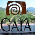 Gaia winery Nemea 
