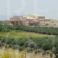 Titakis vineyards