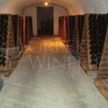 Tselepos winery cellar